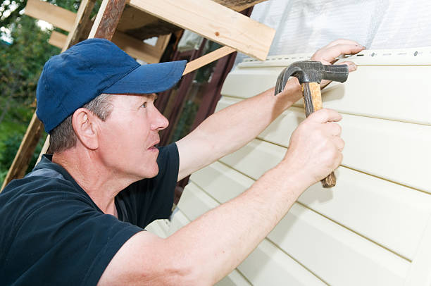 Best Brick Veneer Siding  in Borden, IN